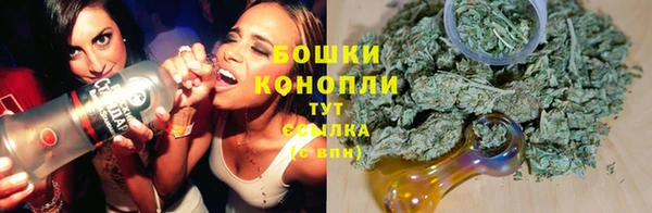 PSILOCYBIN Хадыженск
