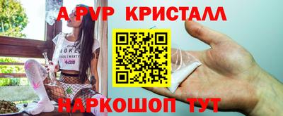 гидра Новодвинск