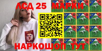 гидра Новодвинск