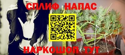 гидра Новодвинск