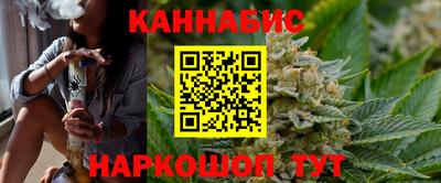 гидра Новодвинск