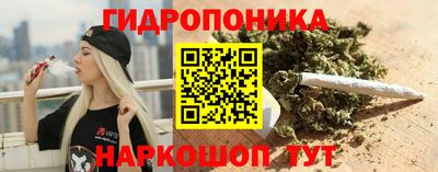 jwh Новозыбков