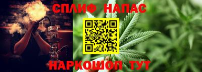 jwh Новозыбков