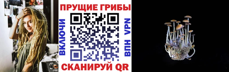 хочу наркоту  Моршанск  Псилоцибиновые грибы мицелий 