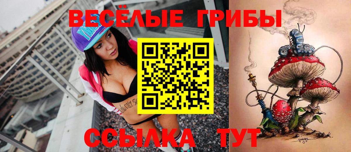 Галлюциногенные грибы ЛСД  цены наркотик  Псилоцибиновые грибы мухоморы  Моршанск  Вход с VPN 