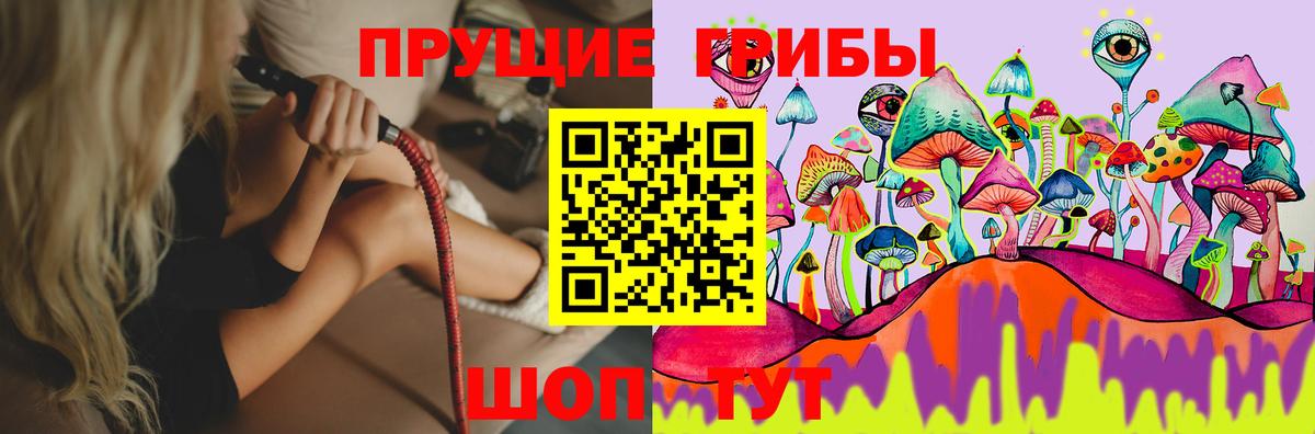 купить наркотики сайты  Моршанск  Галлюциногенные грибы GOLDEN TEACHER 