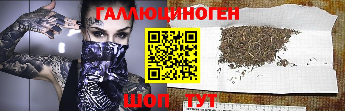 Галлюциногенные грибы GOLDEN TEACHER Моршанск