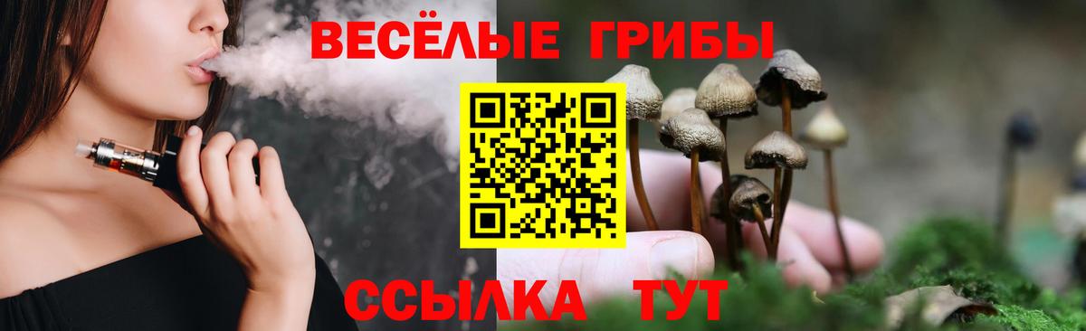 Псилоцибиновые грибы Psilocybe Моршанск